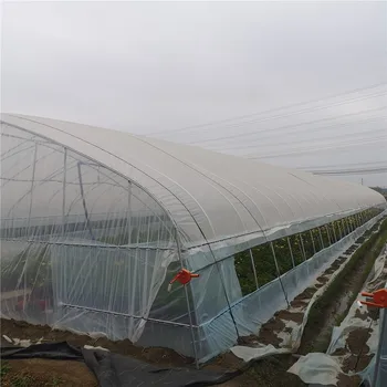 6*10-Rastlinné skleníkových uhorka, paradajka zelený dom slniečko dom invernaderos