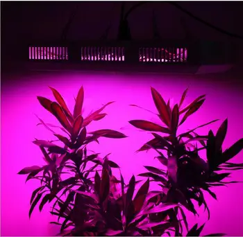 300LEDs 300W led rásť svetlo pre hydroponics skleníkových Rásť Stan pole LED Svietidlo vhodné pre všetky fázy rastu rastlín
