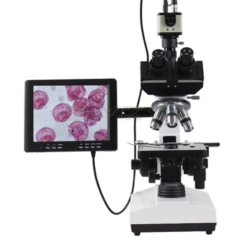 2500X Odbornej Učebni Biologické trinokulárny kyowa s LED Svietidlo Priemyselné Kamery 8-Palcový Digitálny Displej Digitálny Mikroskop